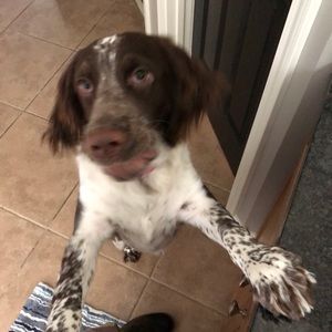 Meet your Posher, Eric